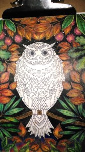 background ready- Owl Secret Garden